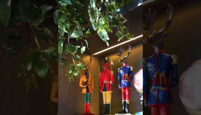 video,paylaşım,kameralı telefon,videofon,ücretsiz,yükleme