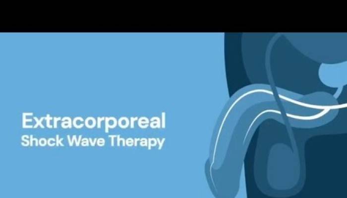 video,paylaşım,kameralı telefon,videofon,ücretsiz,yükleme